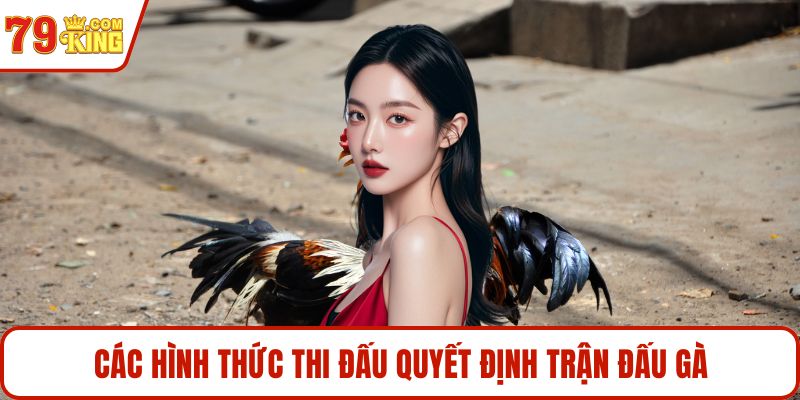 Các hình thức thi đấu quyết định trận đấu gà