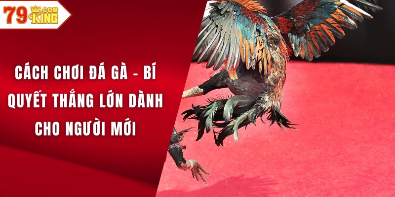 Cách chơi đá gà